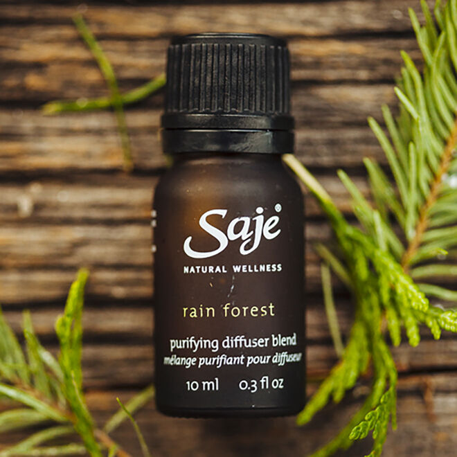 Rain Forest 38
