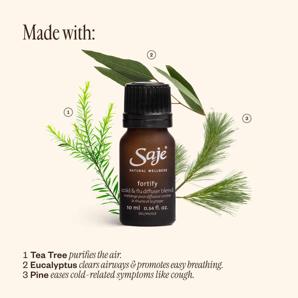 Best of Diffusion F8