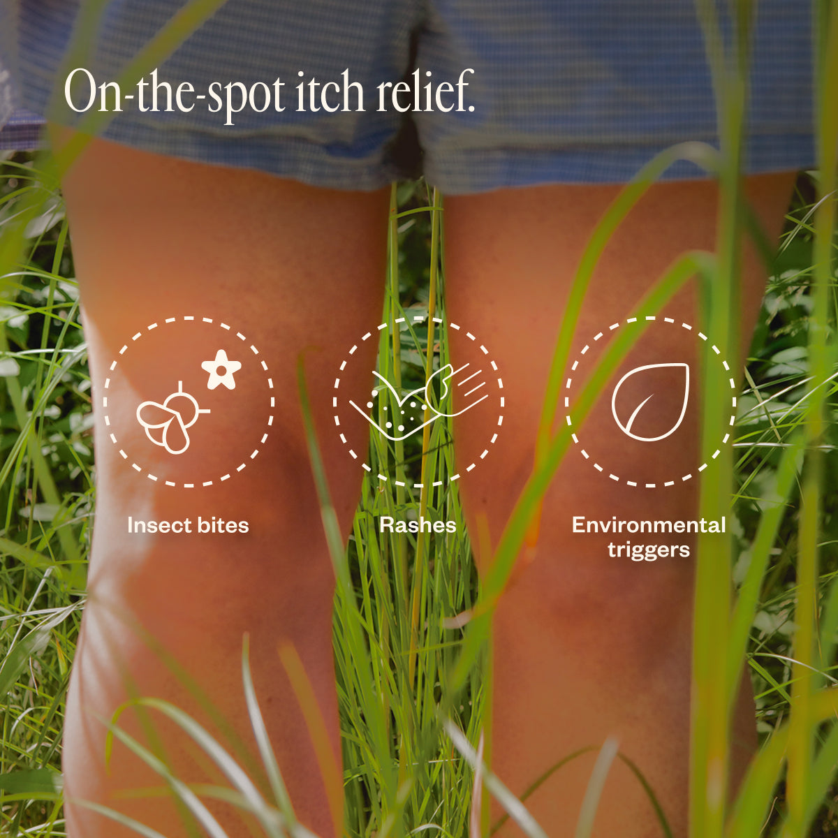 Dermedial™ Anti Itch+ 42