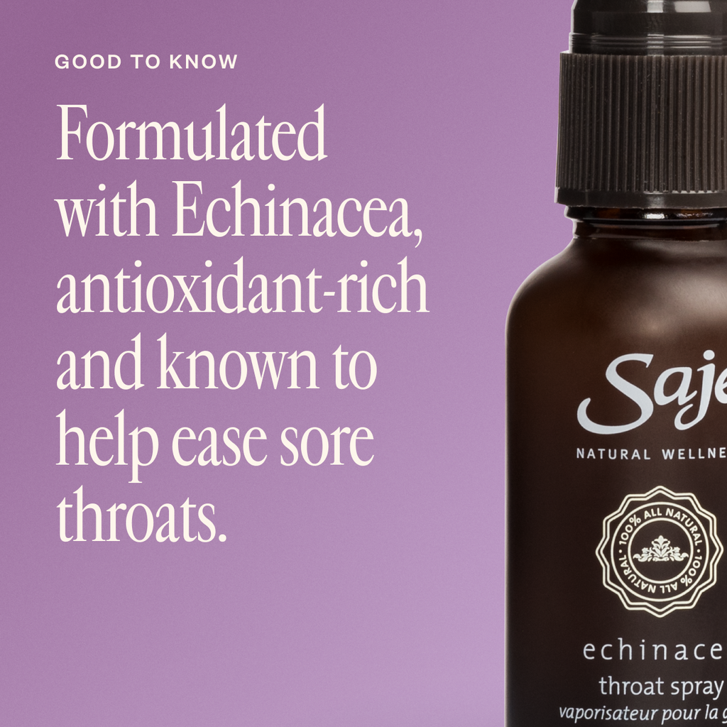 Echinacea 42