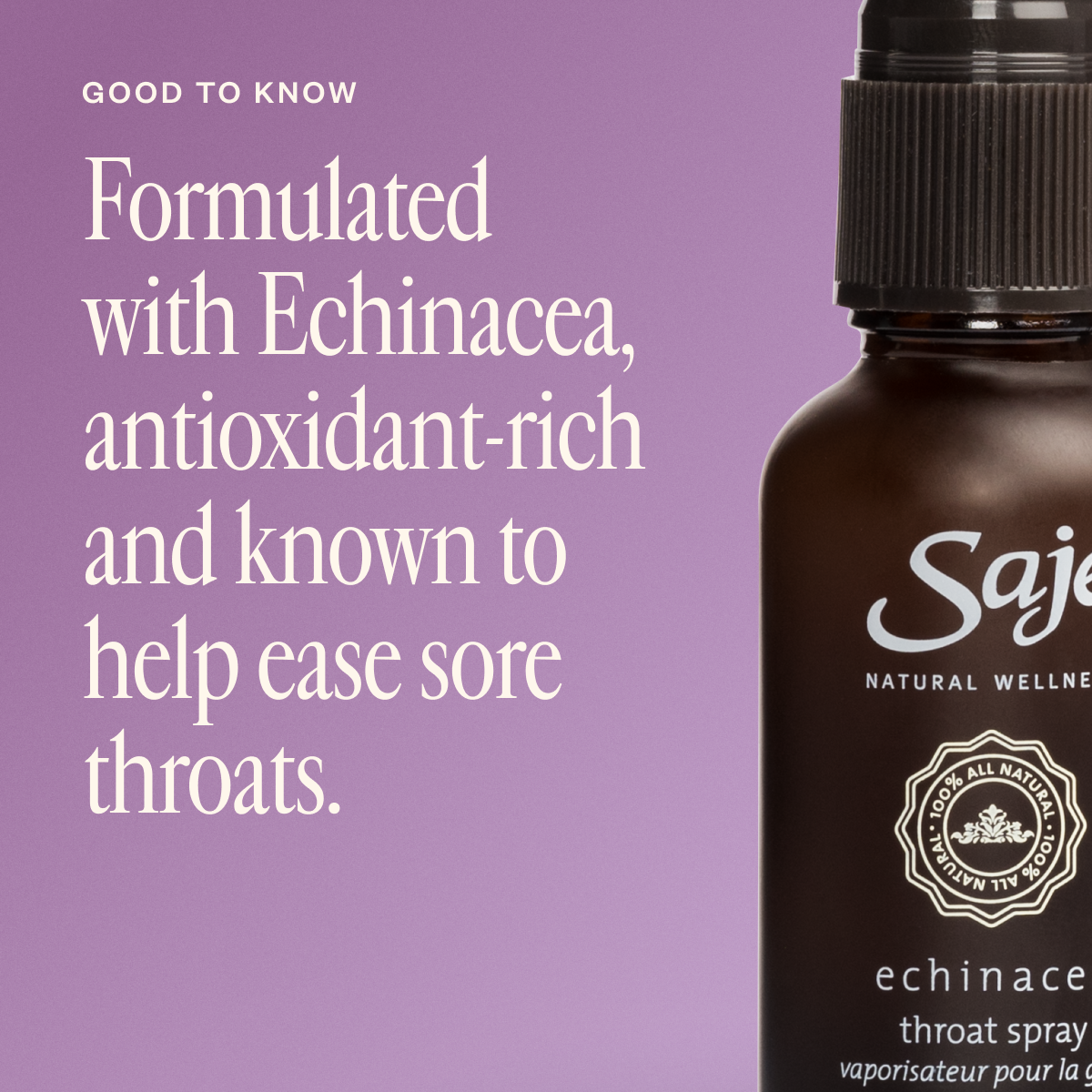 Echinacea 42