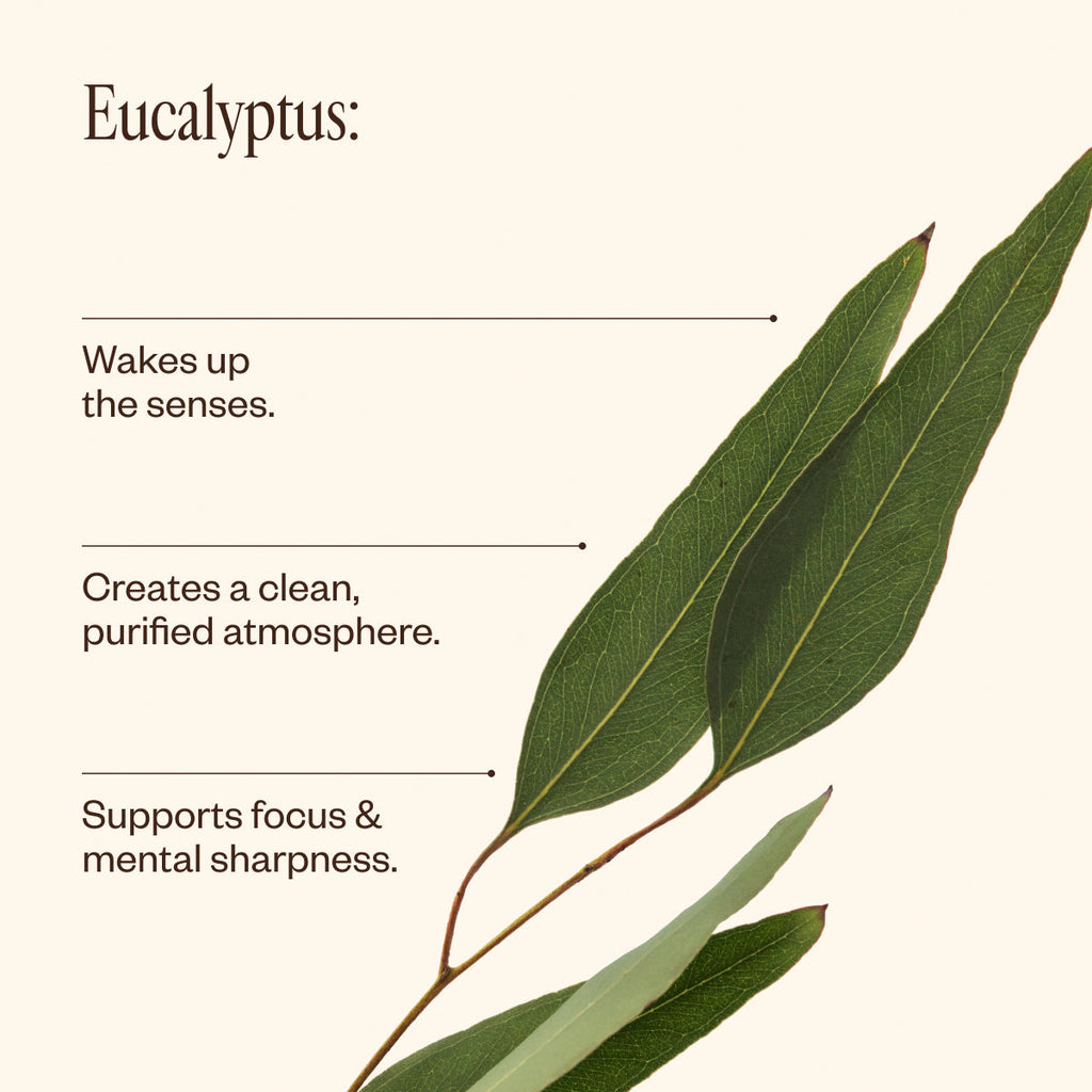 Eucalyptus Oil 90