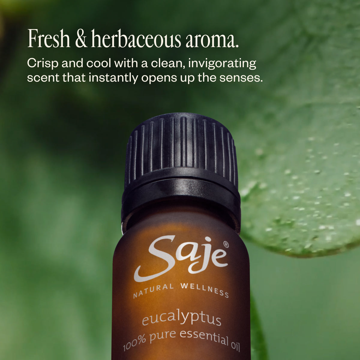 Eucalyptus Oil 90