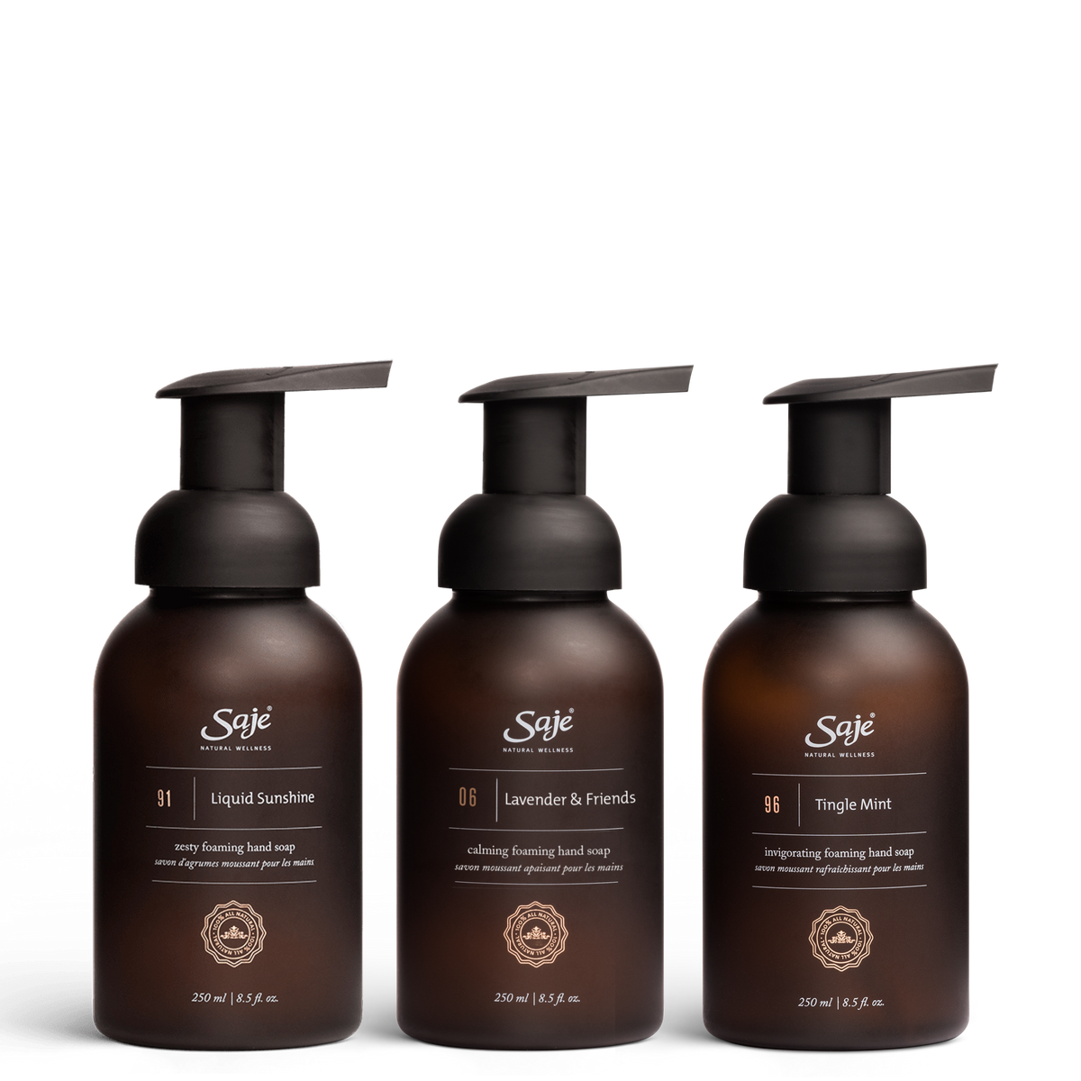 Foaming Hand Soap Trio C5