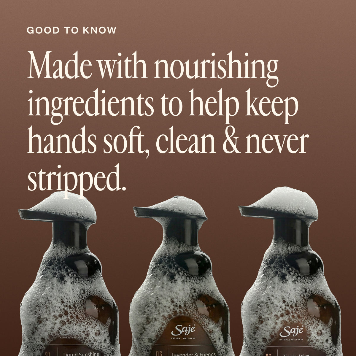 Foaming Hand Soap Trio C5