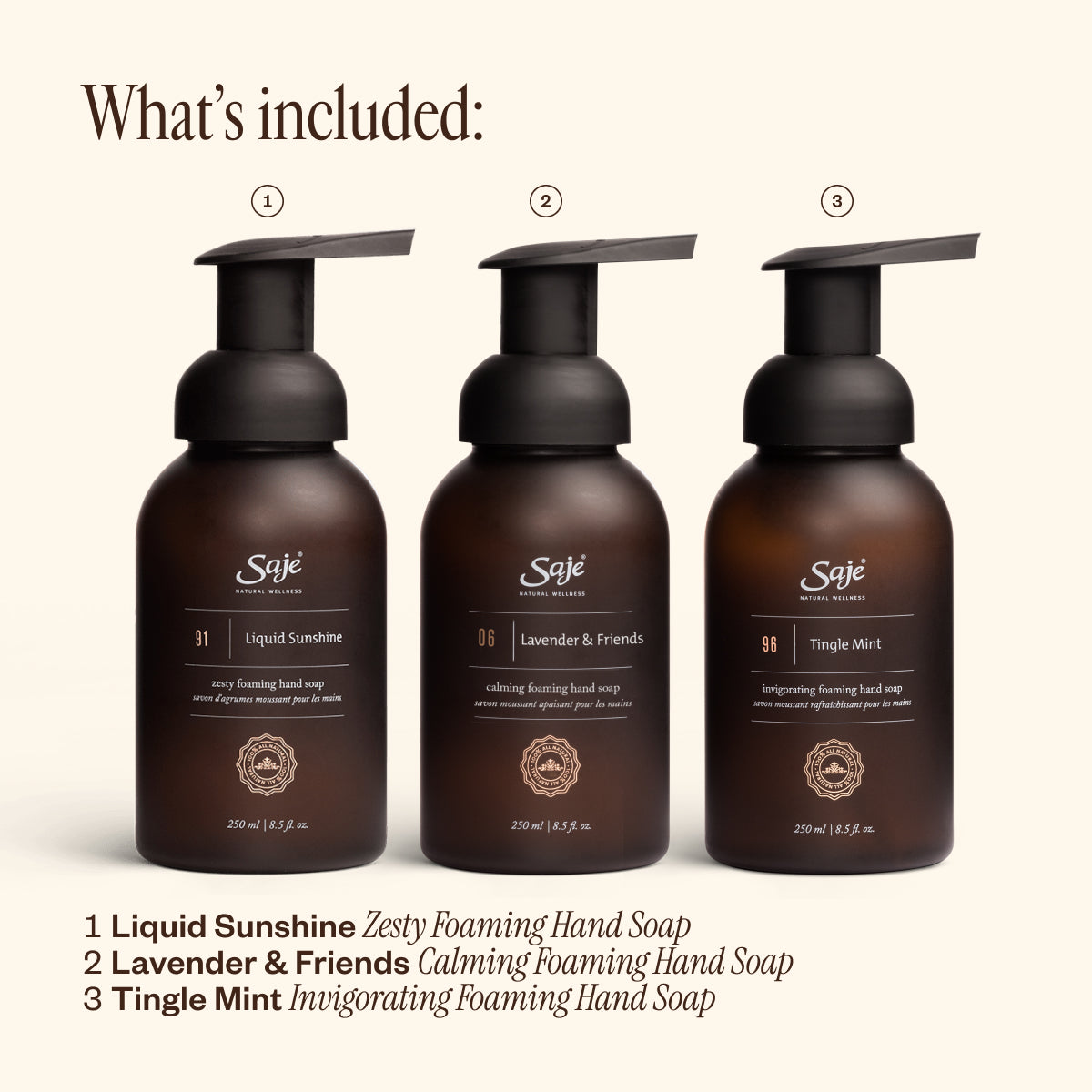 Foaming Hand Soap Trio C5