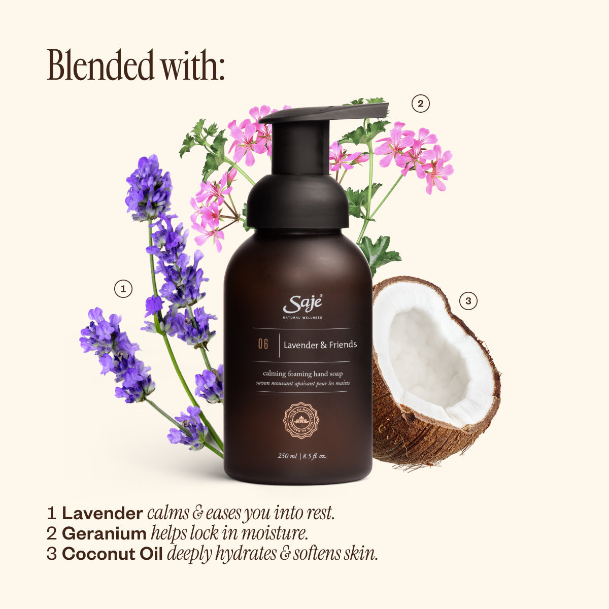 Foaming Hand Soap Trio C5