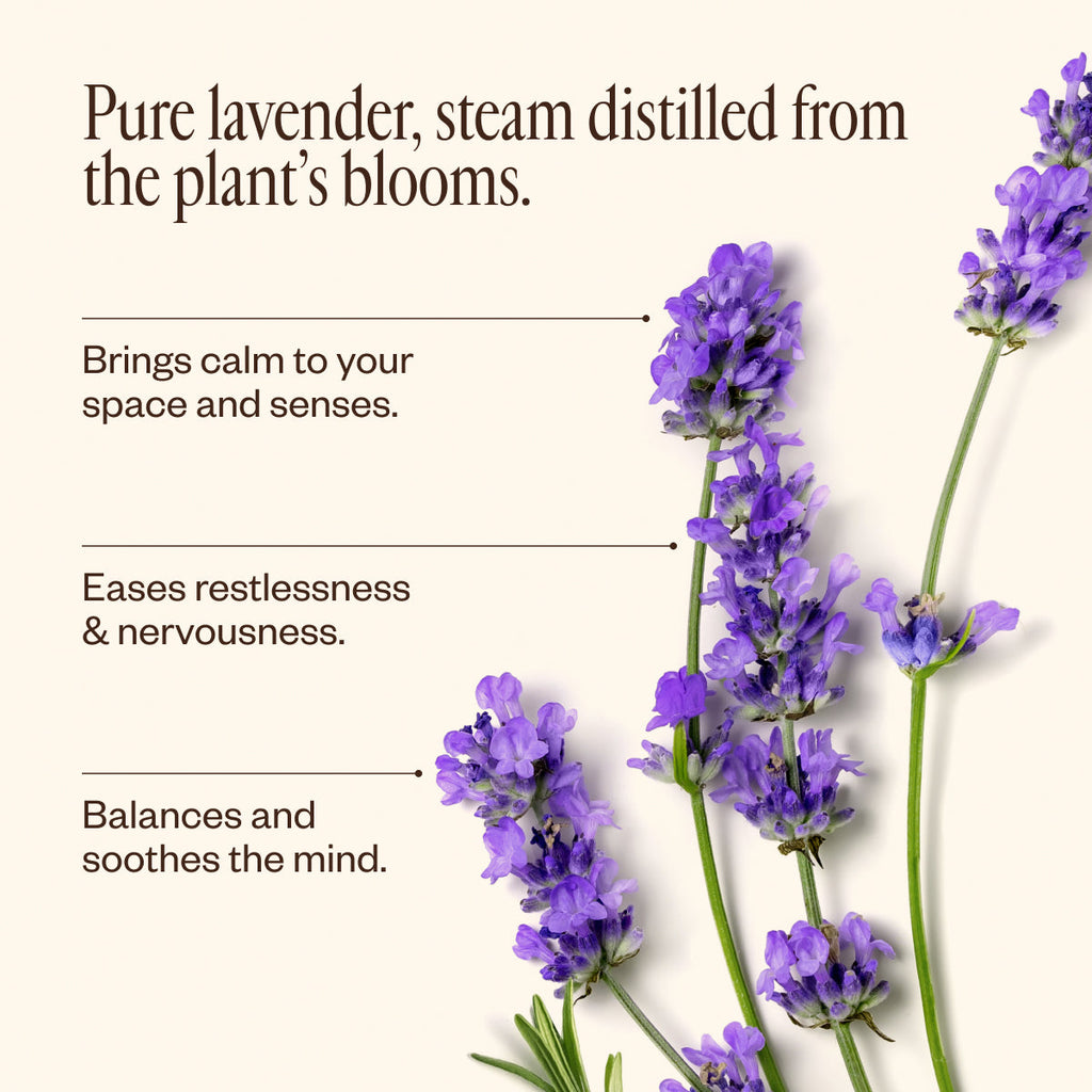 Lavender Oil 30