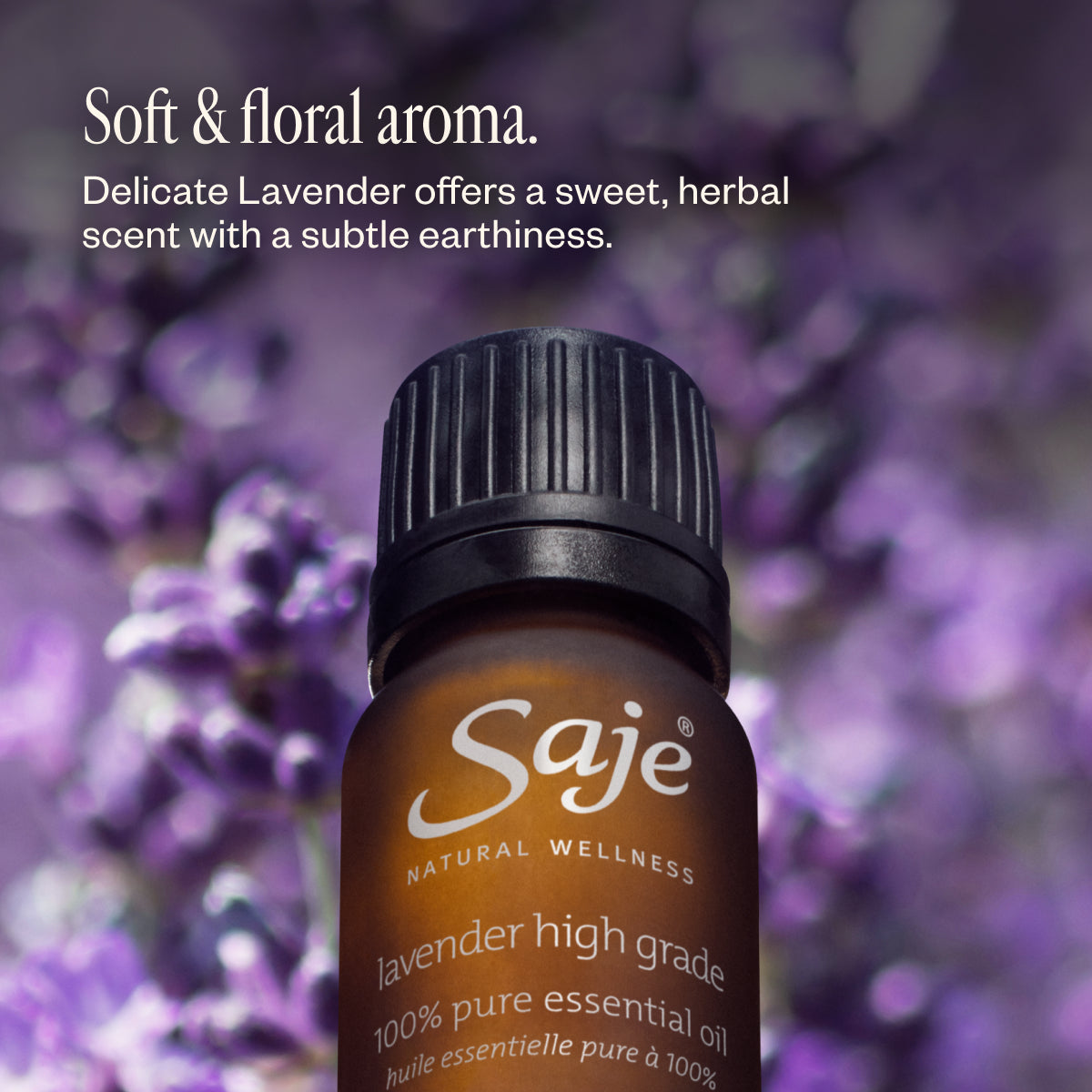 Lavender Oil 49