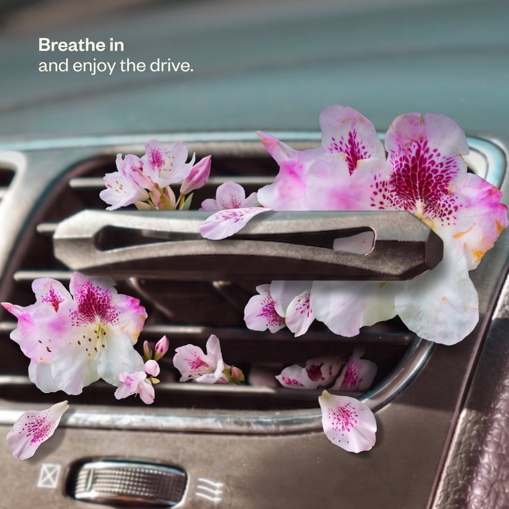 Drive Blissfully 61