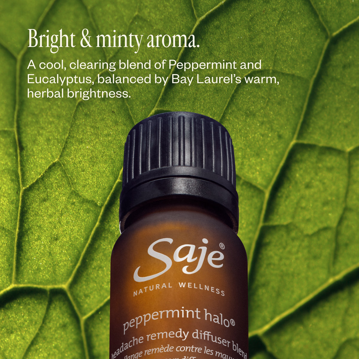 Peppermint Halo 65