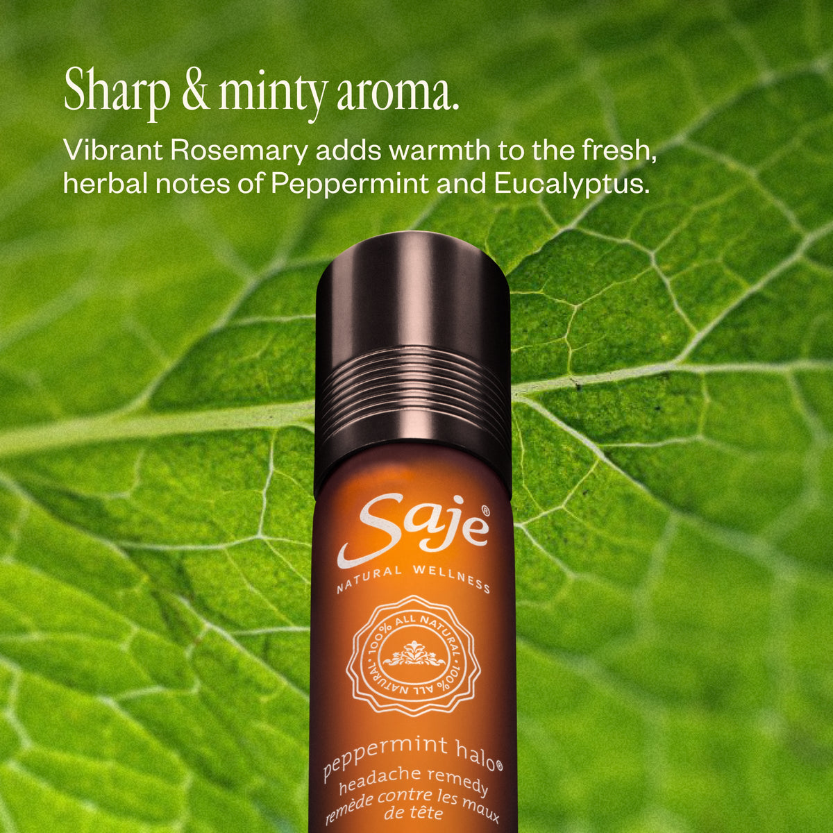 Peppermint Halo Ritual 43