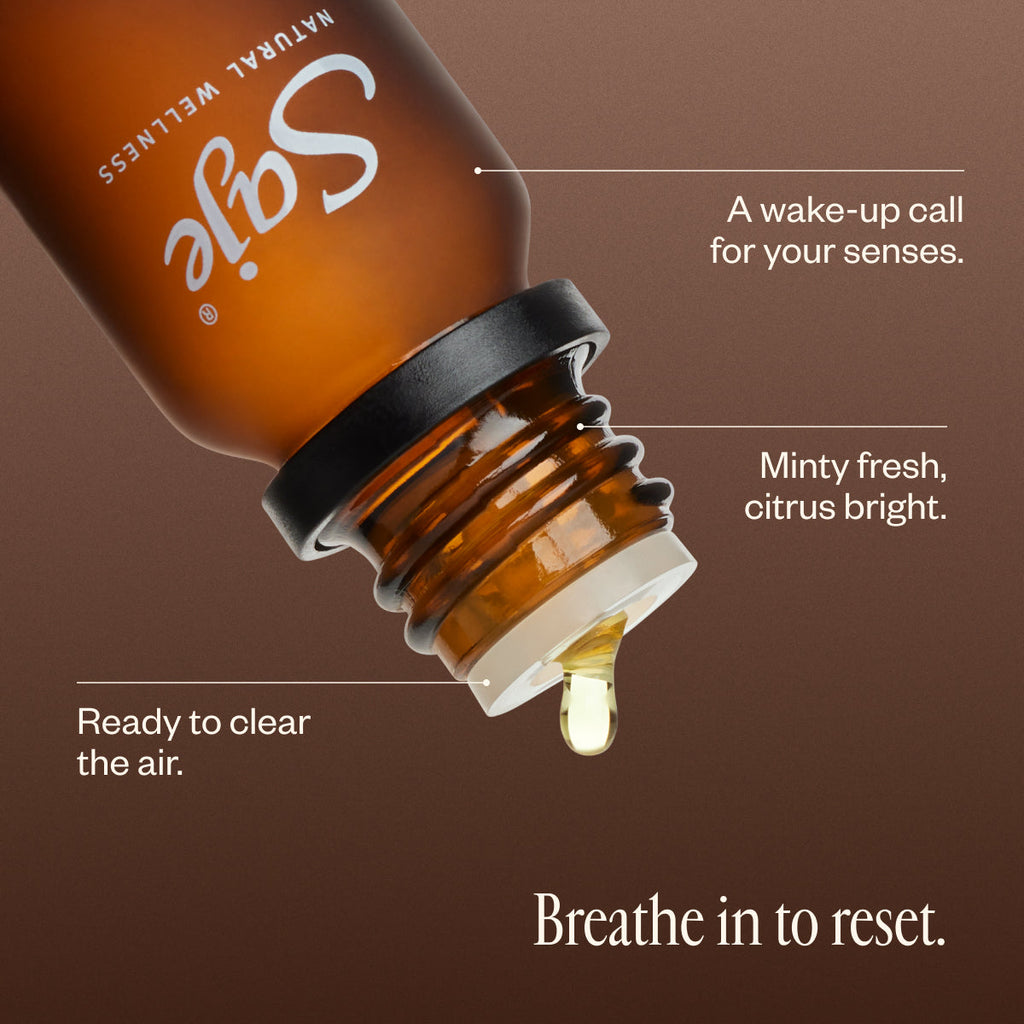 Refresh B5