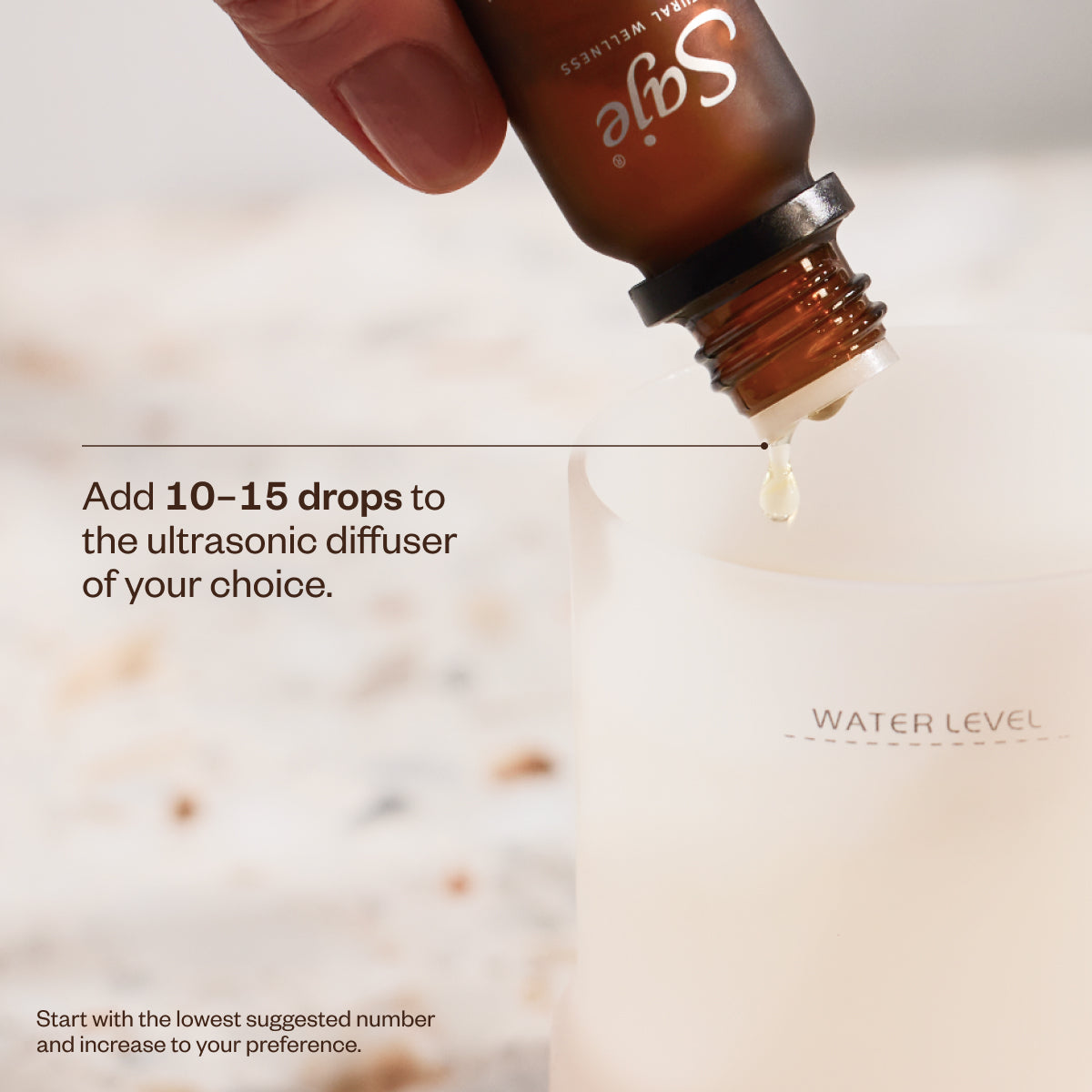 Refresh B5
