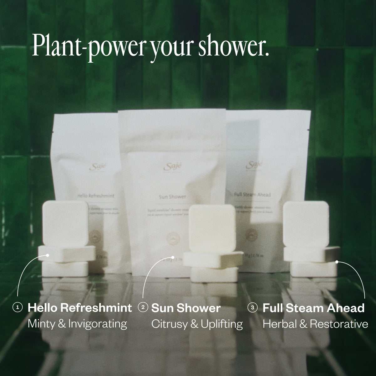 Shower Steamer Collection 23