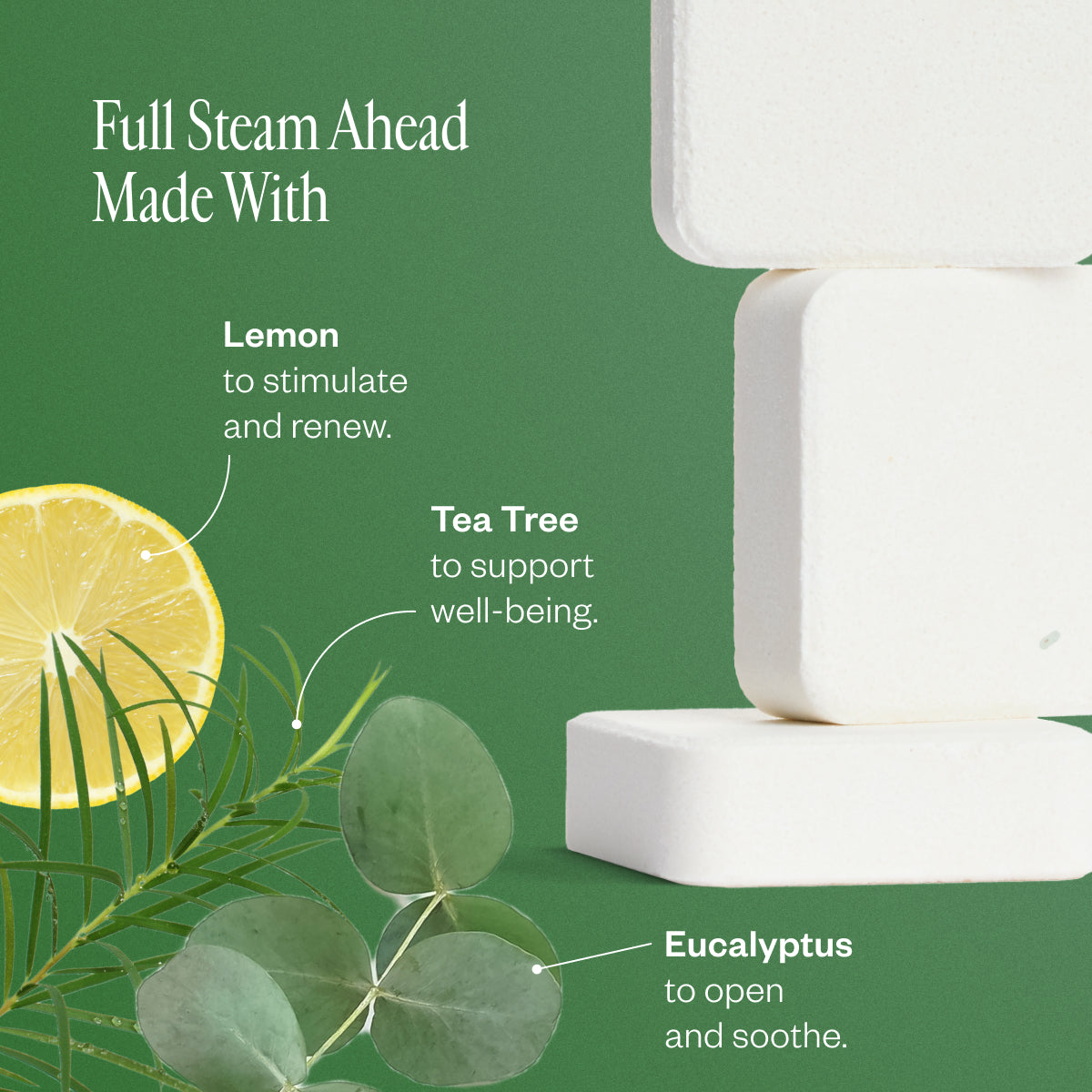 Shower Steamer Collection 23
