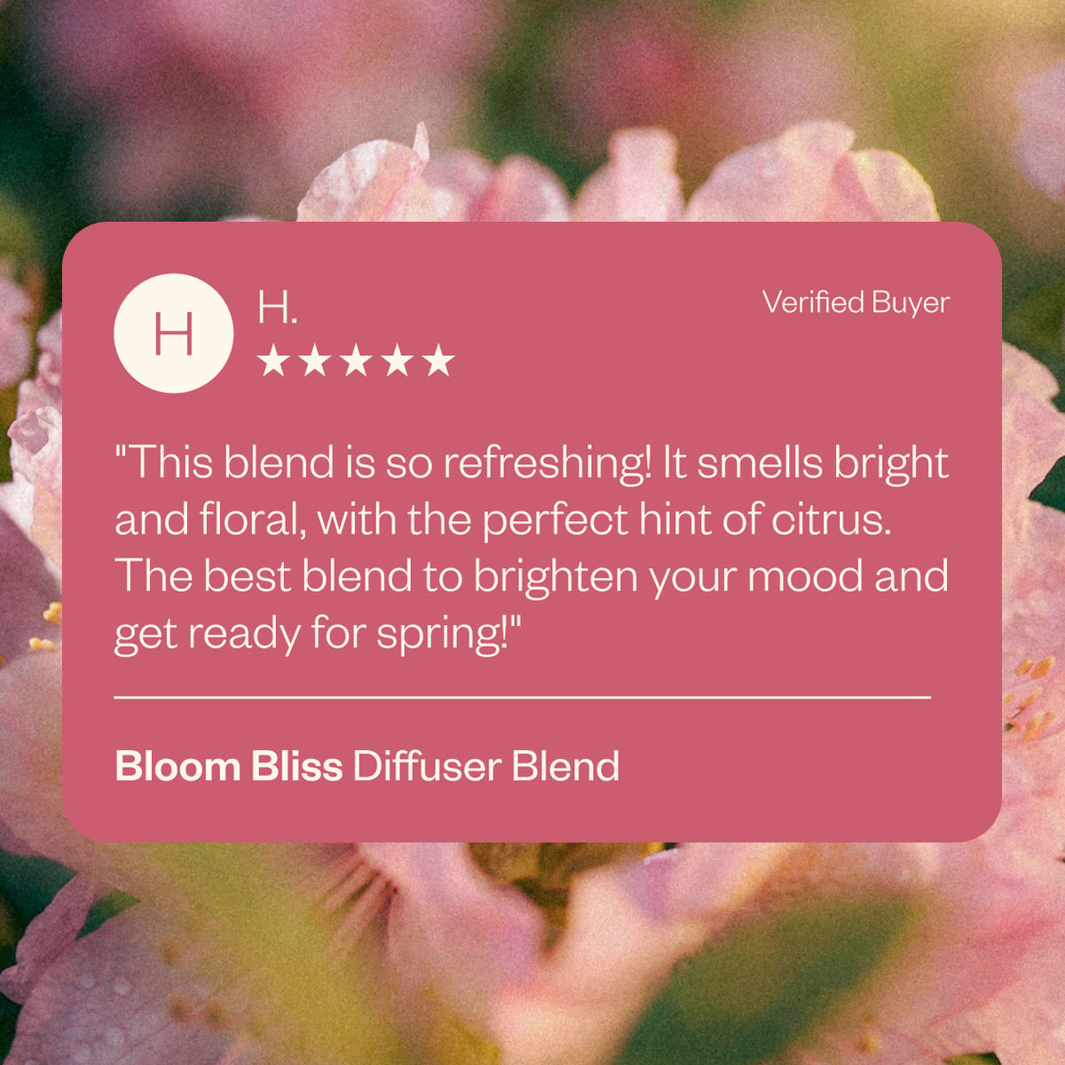 Bloom Bliss 61