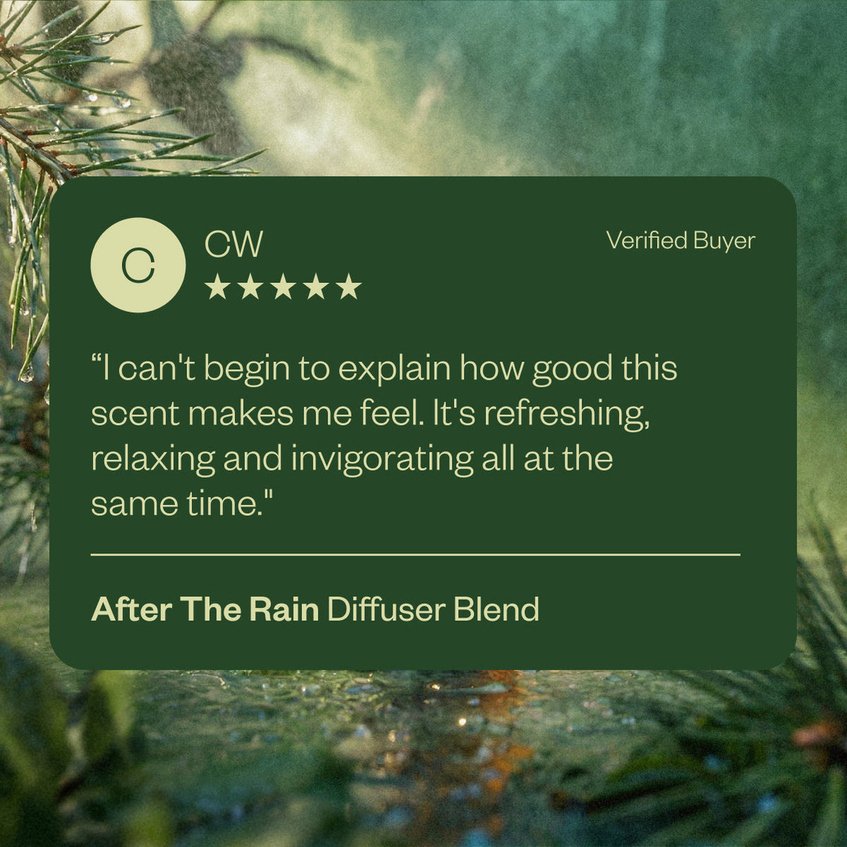After the Rain 43