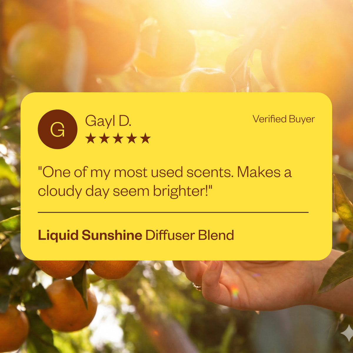 Liquid Sunshine® 12