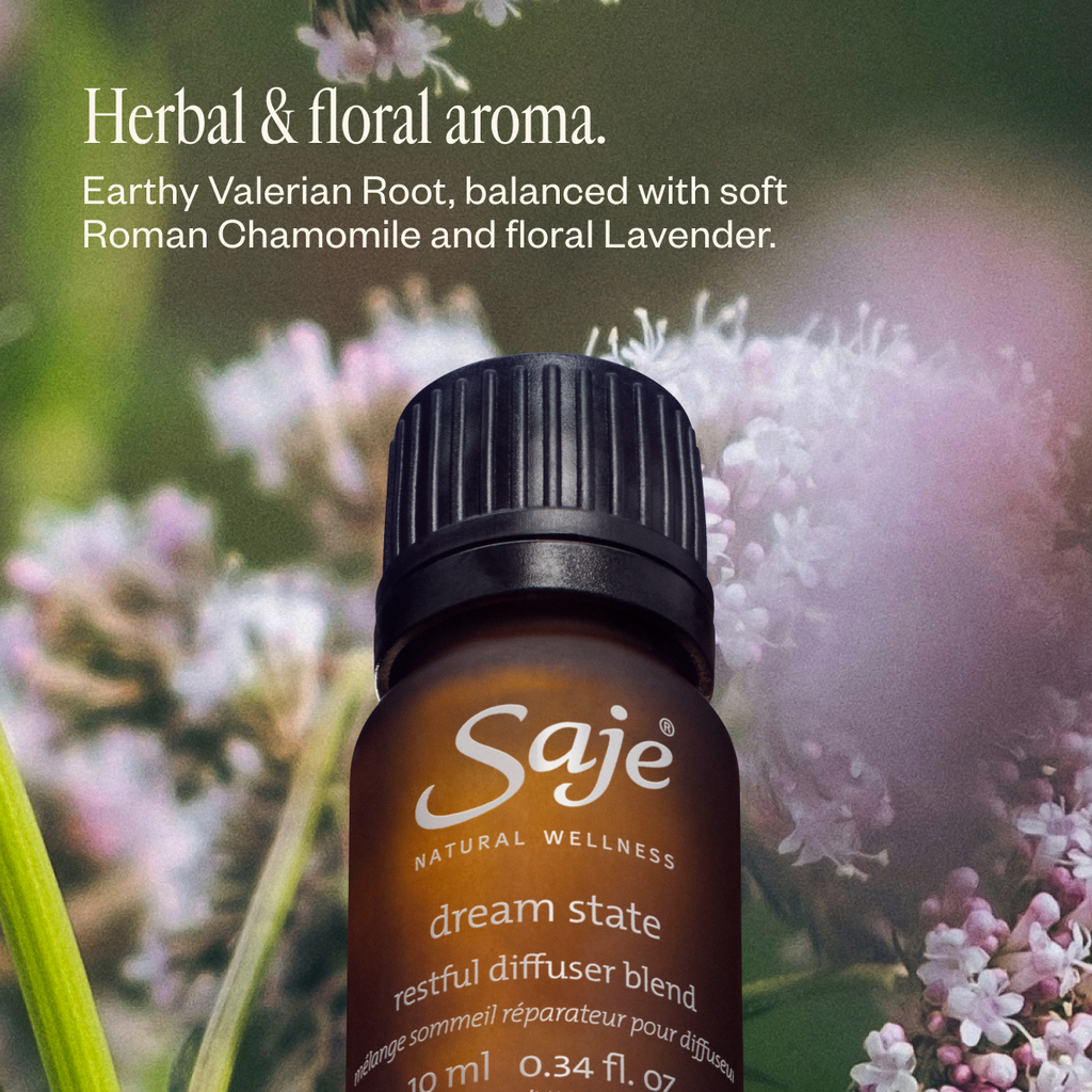 Slumber Party Diffuser Blend Trio 30