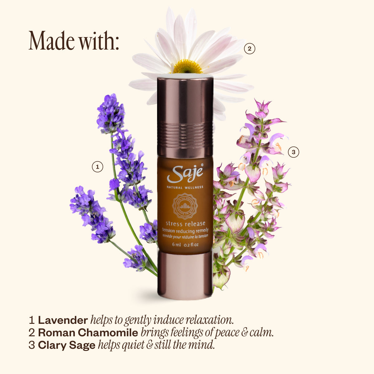 Stress Release Kit 24