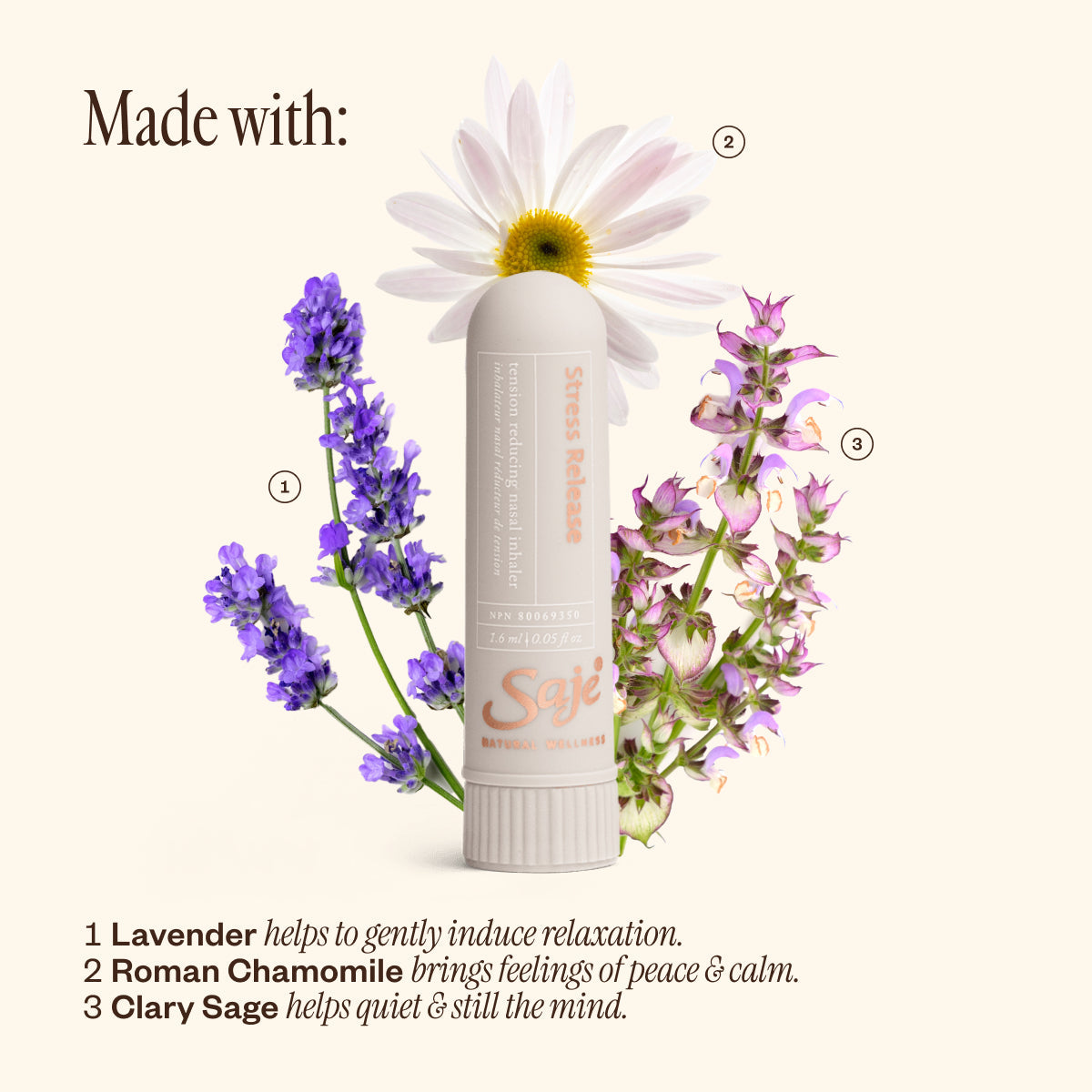 Stress Release Kit 24