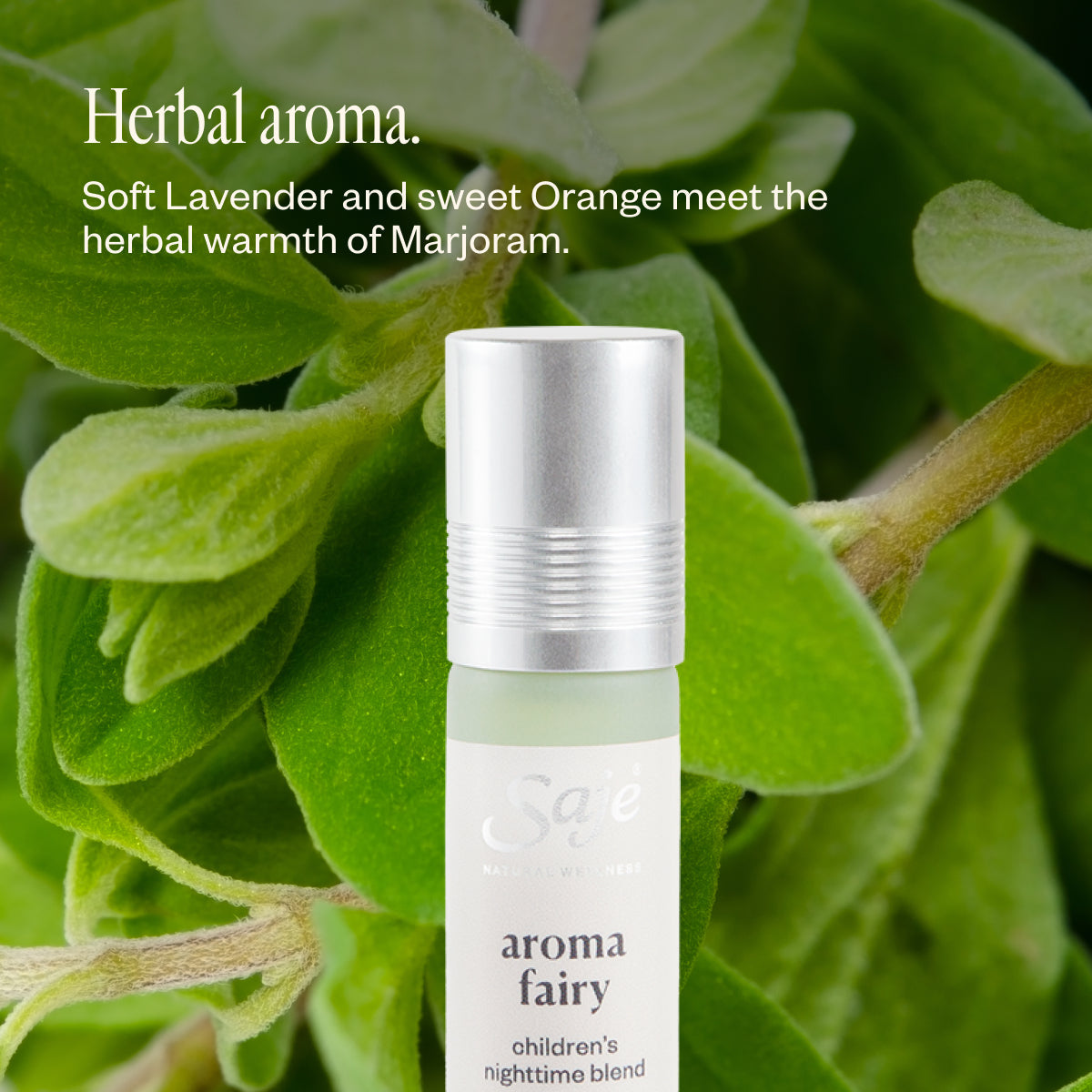 Aroma Fairy F5