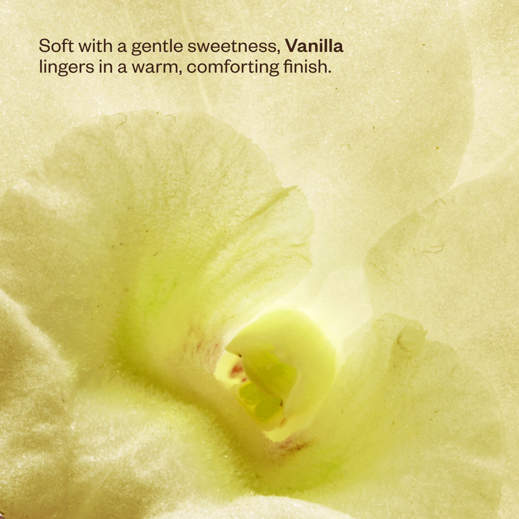 Wanderlust Diffuser Duo F0