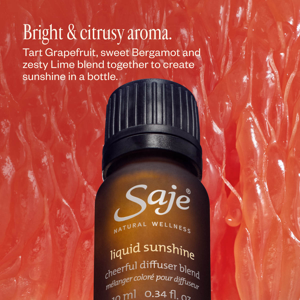 Aroma Cocoon & Liquid Sunshine 81