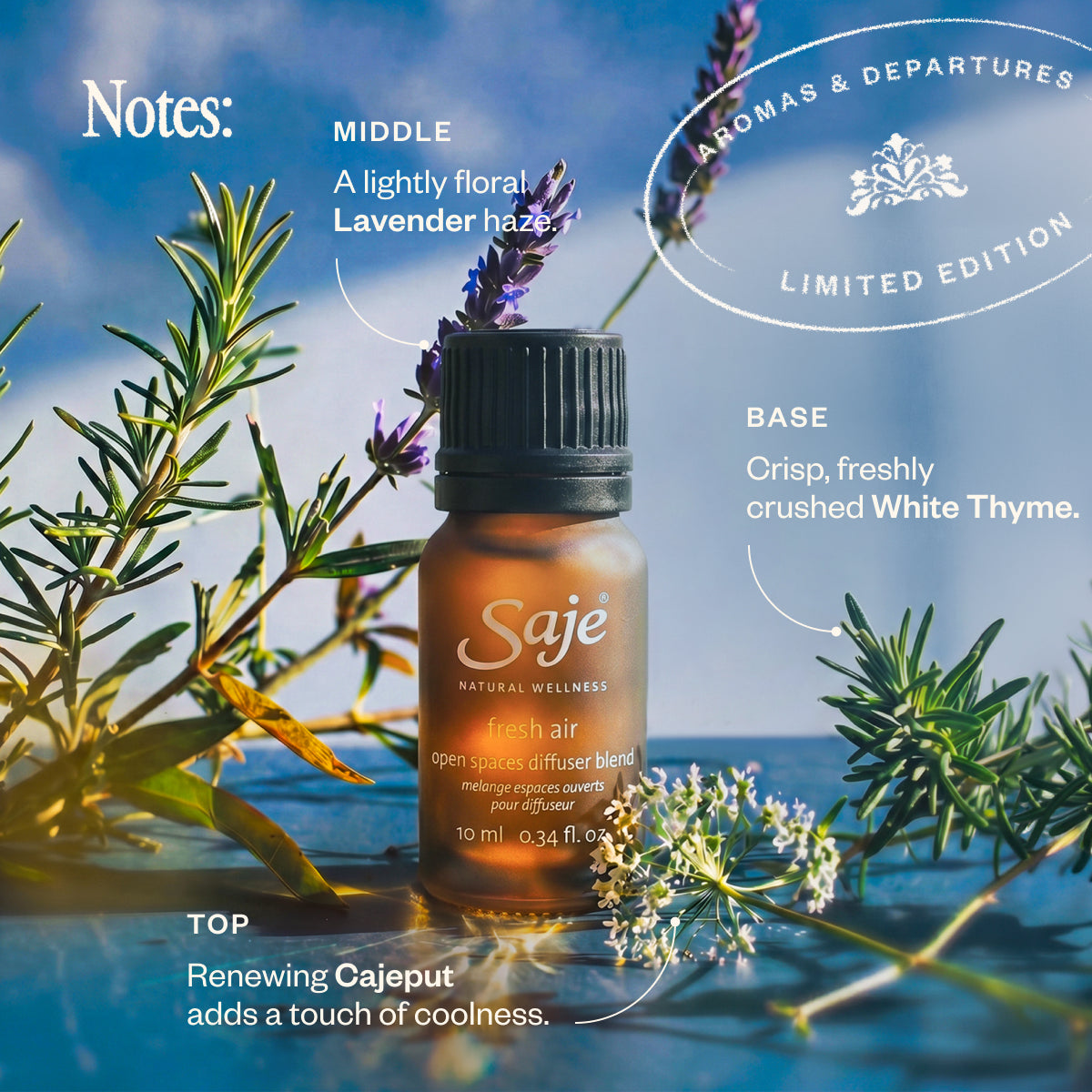 Aromas & Departures 39