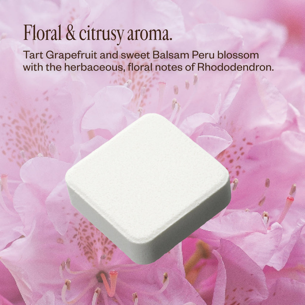 Fresh Bloom 65