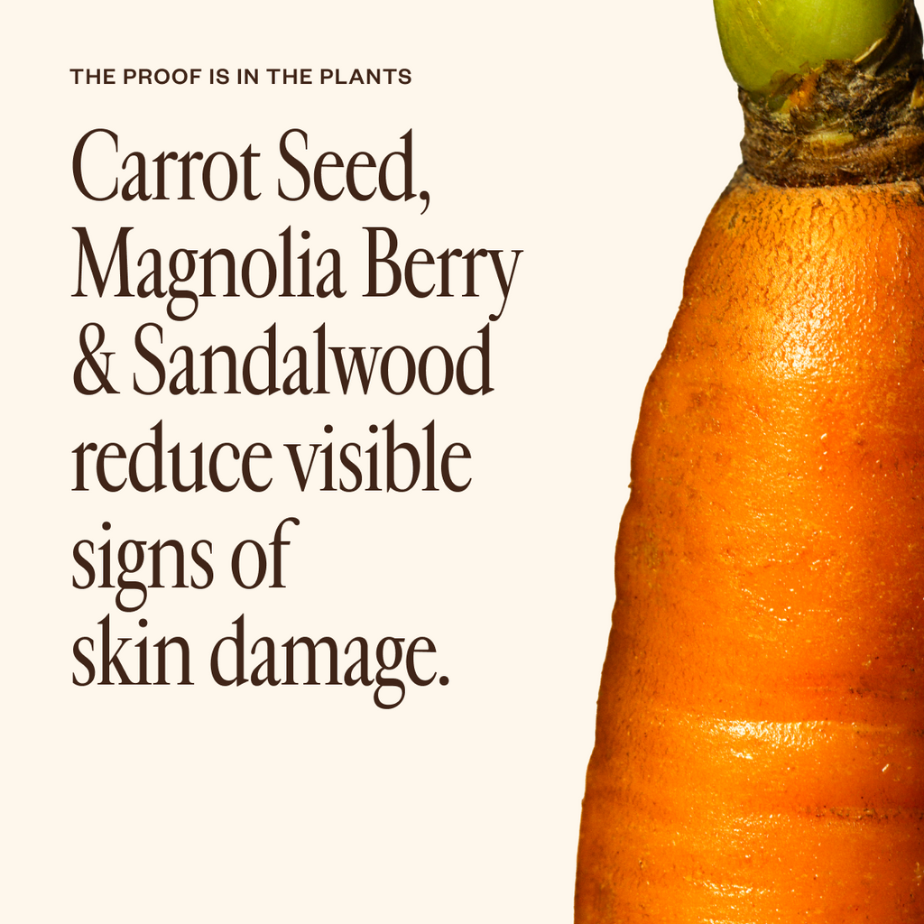 Dermedial™ Carrot+ C5