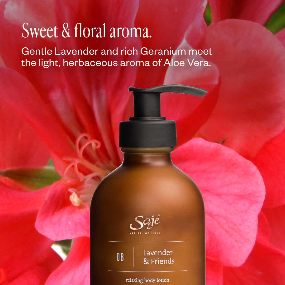 Lavender Lathers 75