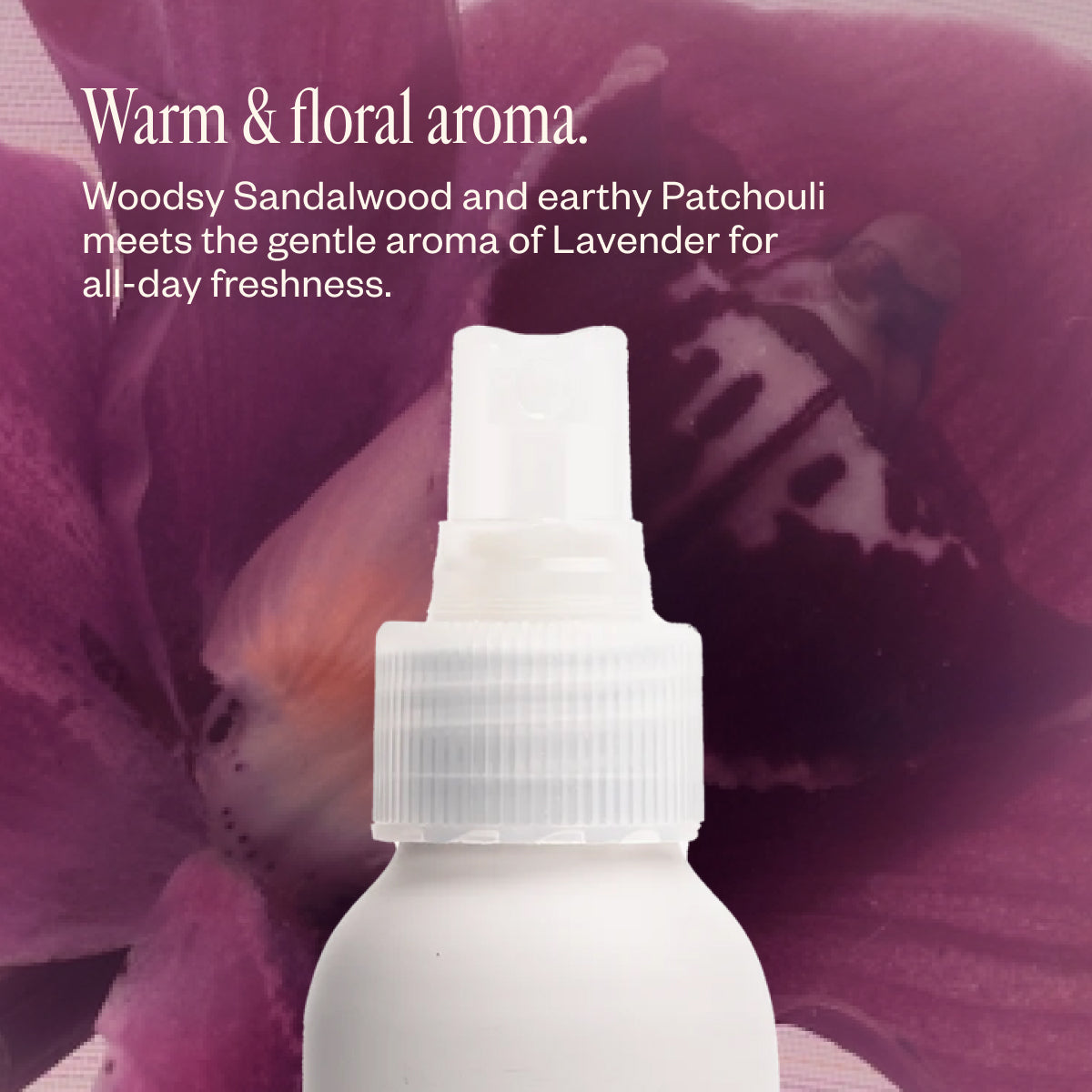 Lavender Lathers 75