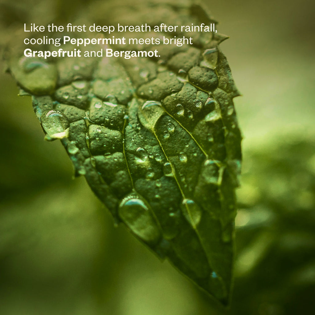 After the Rain 43