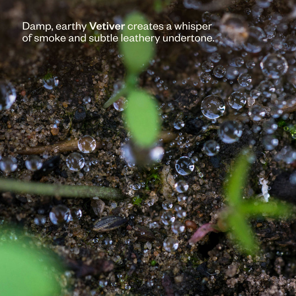 After the Rain 43