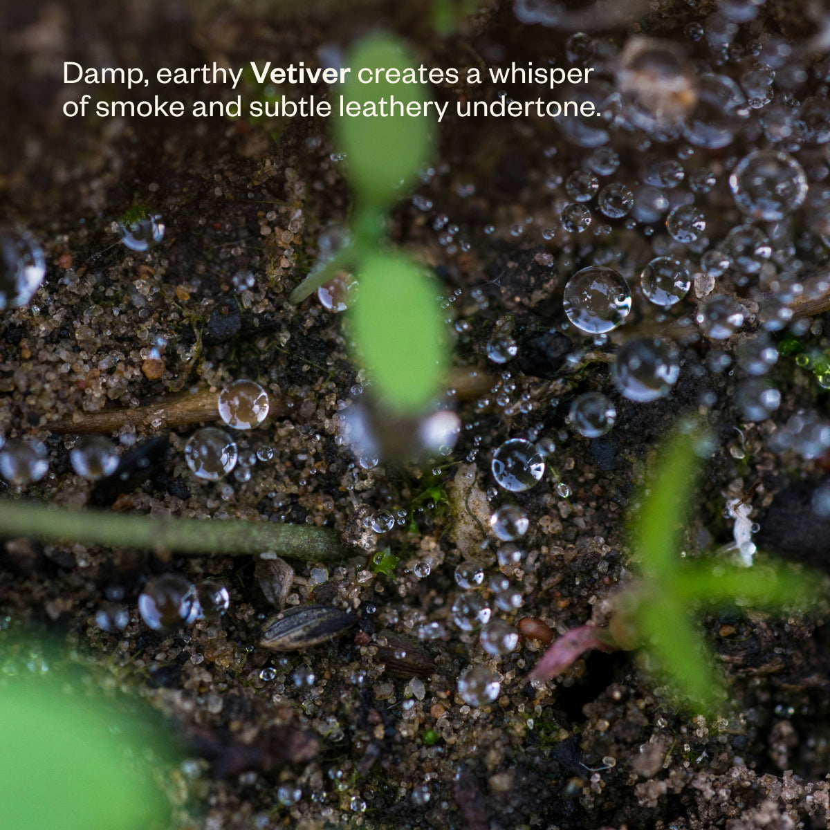 After the Rain 43
