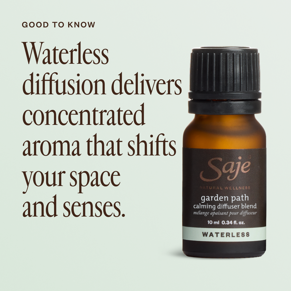 Garden Path 56