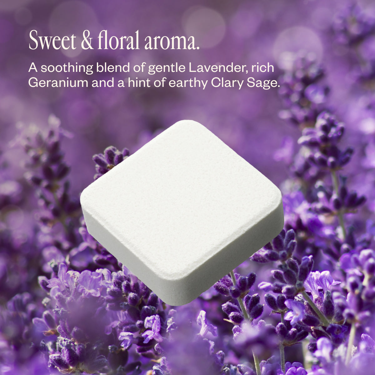 Lavender Bliss A2