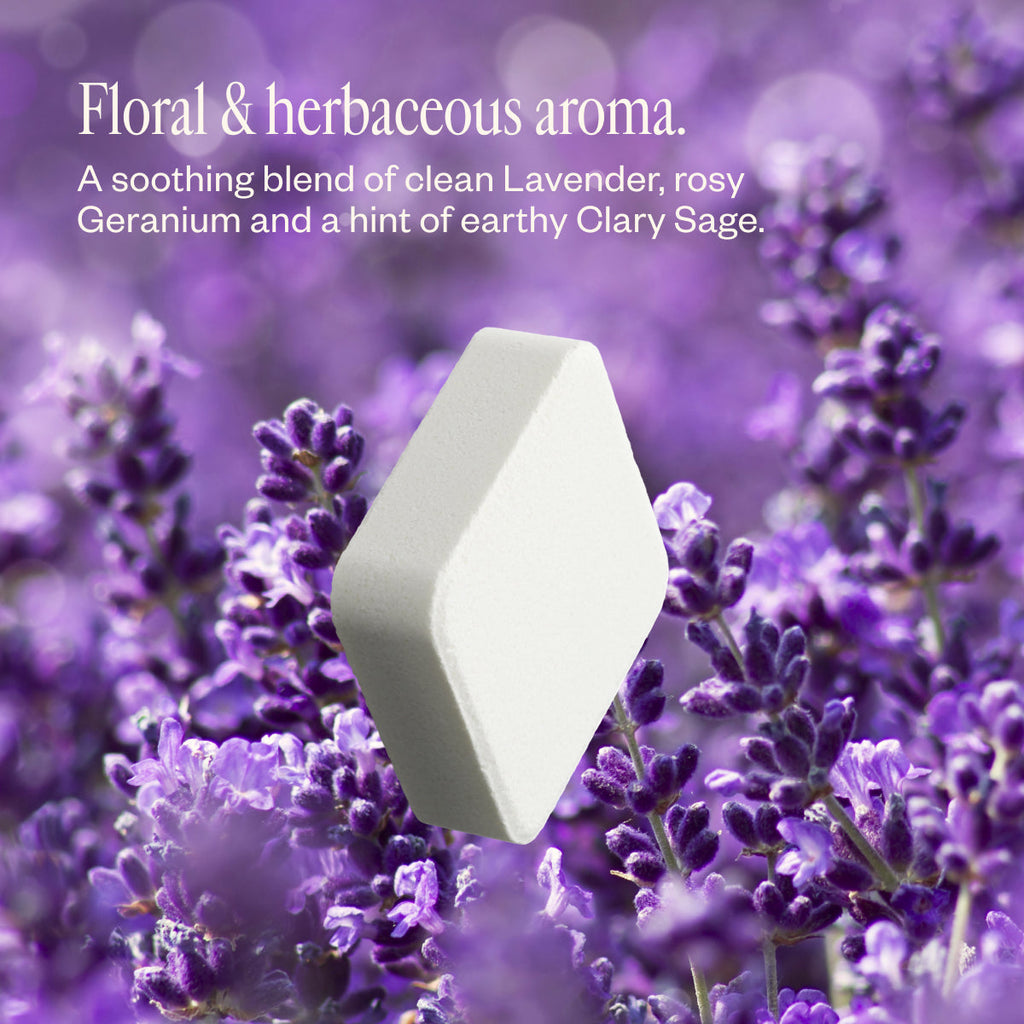 Lavender Haze 09