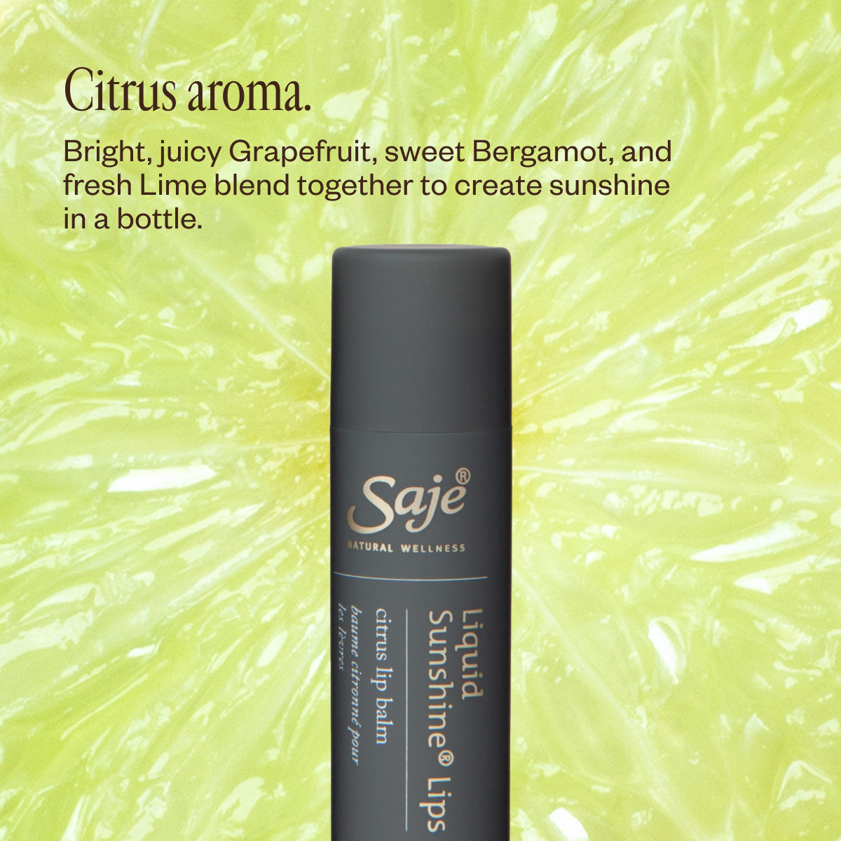 Lip Trio F2