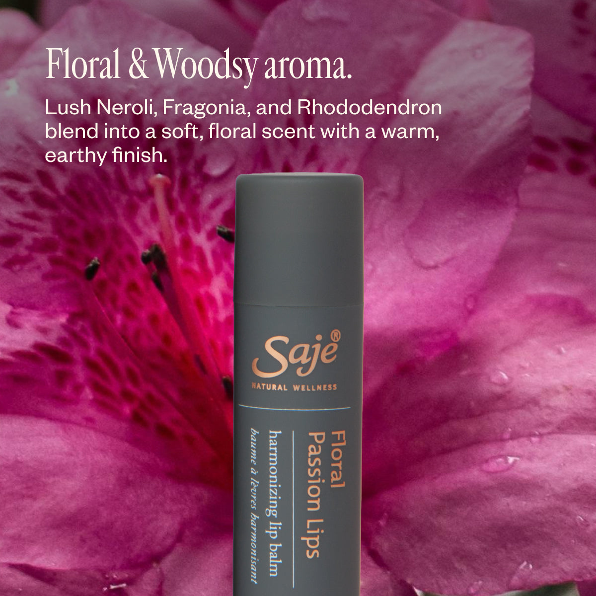 Lip Trio F2