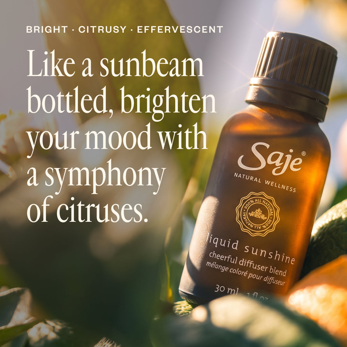 Liquid Sunshine® 26