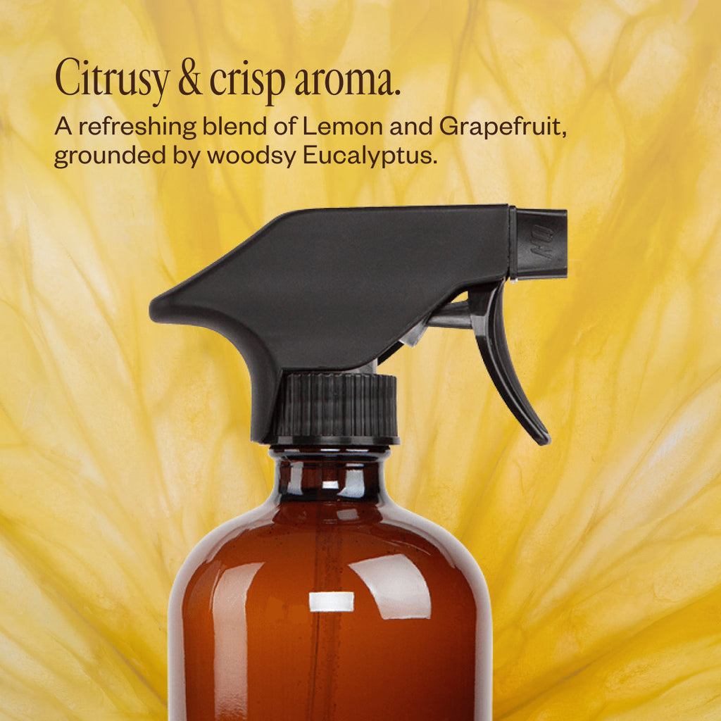Multi-Surface Cleaning Kit B4