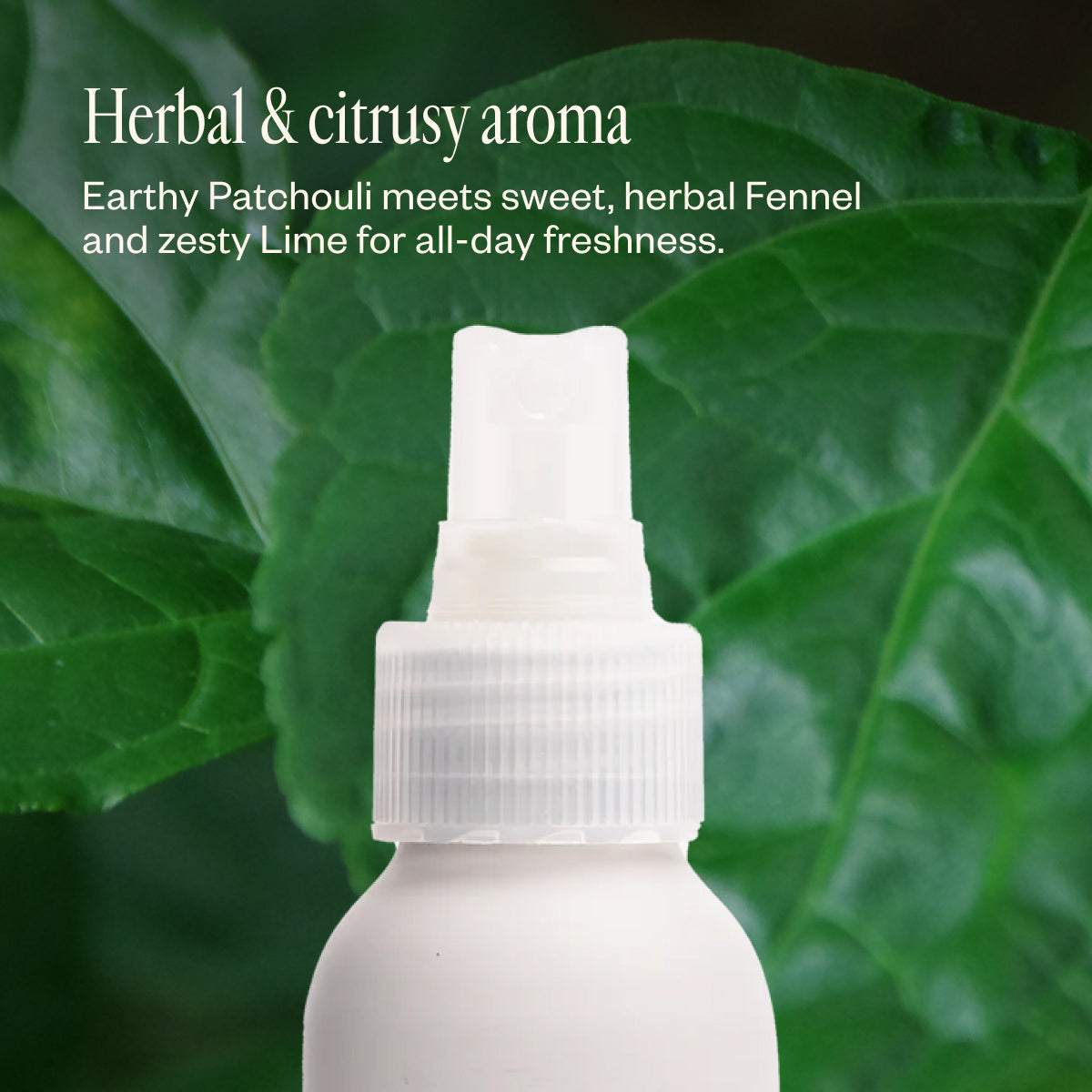Natural Deodorant Duo 19