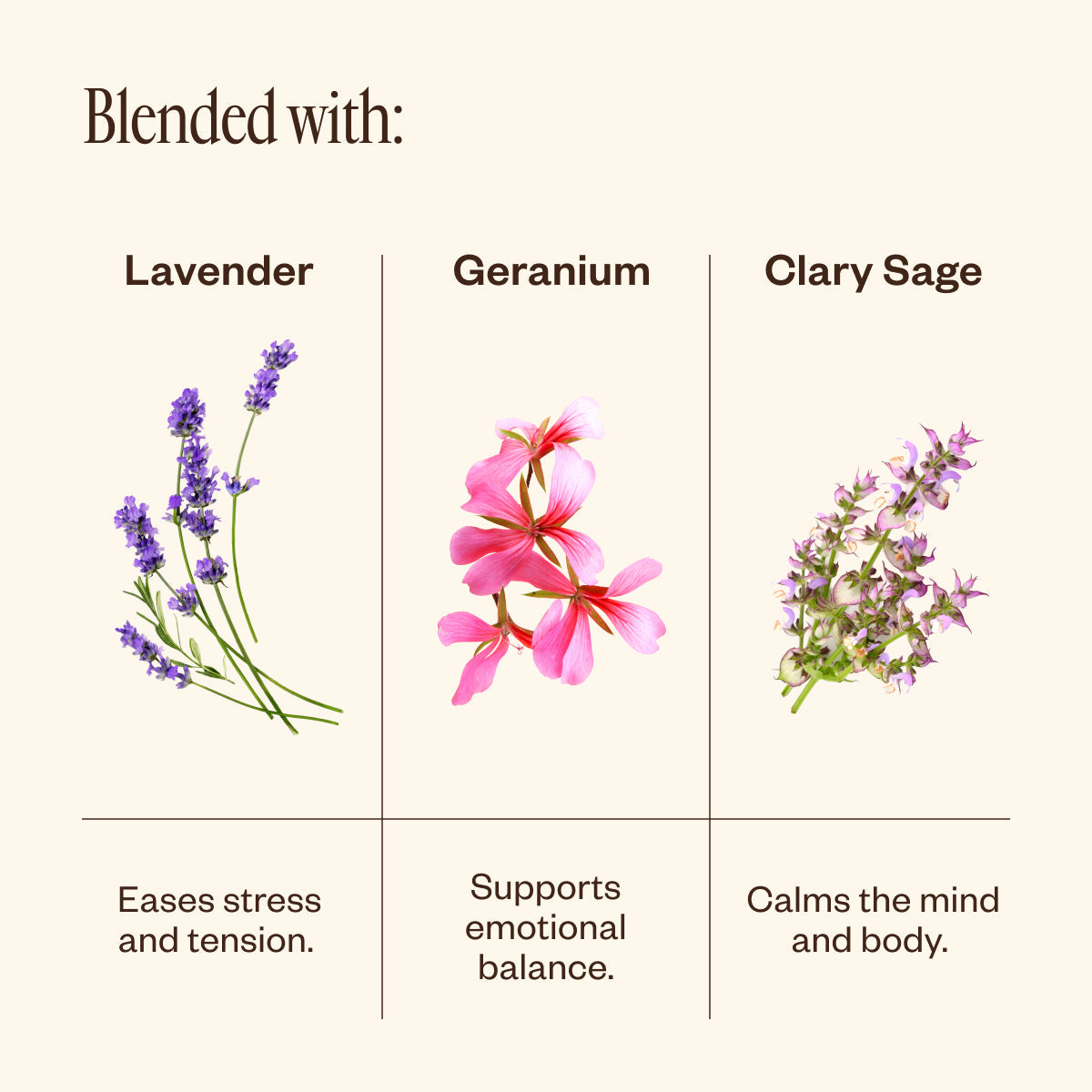 Lavender & Friends 21