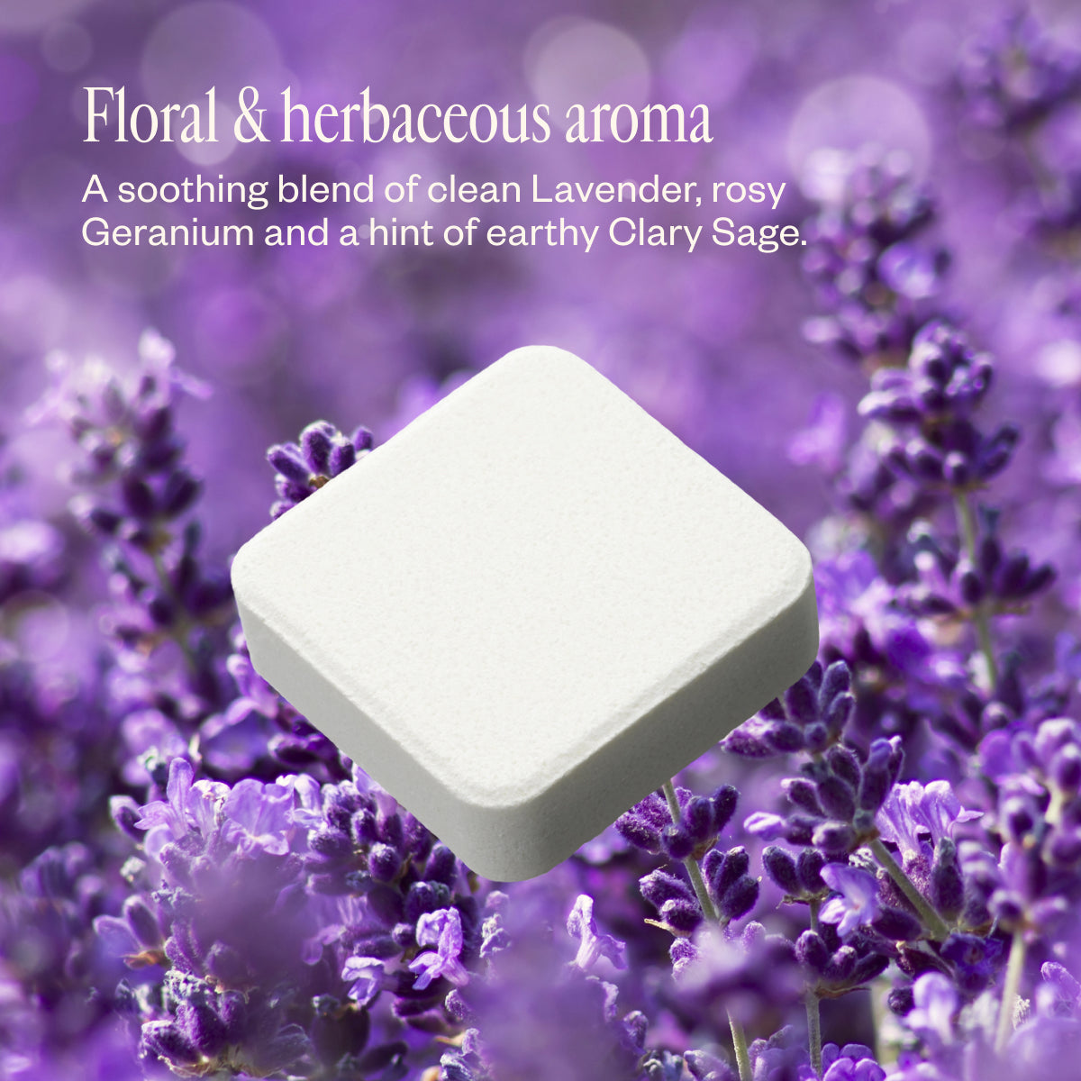 Lavender & Friends Trio 28