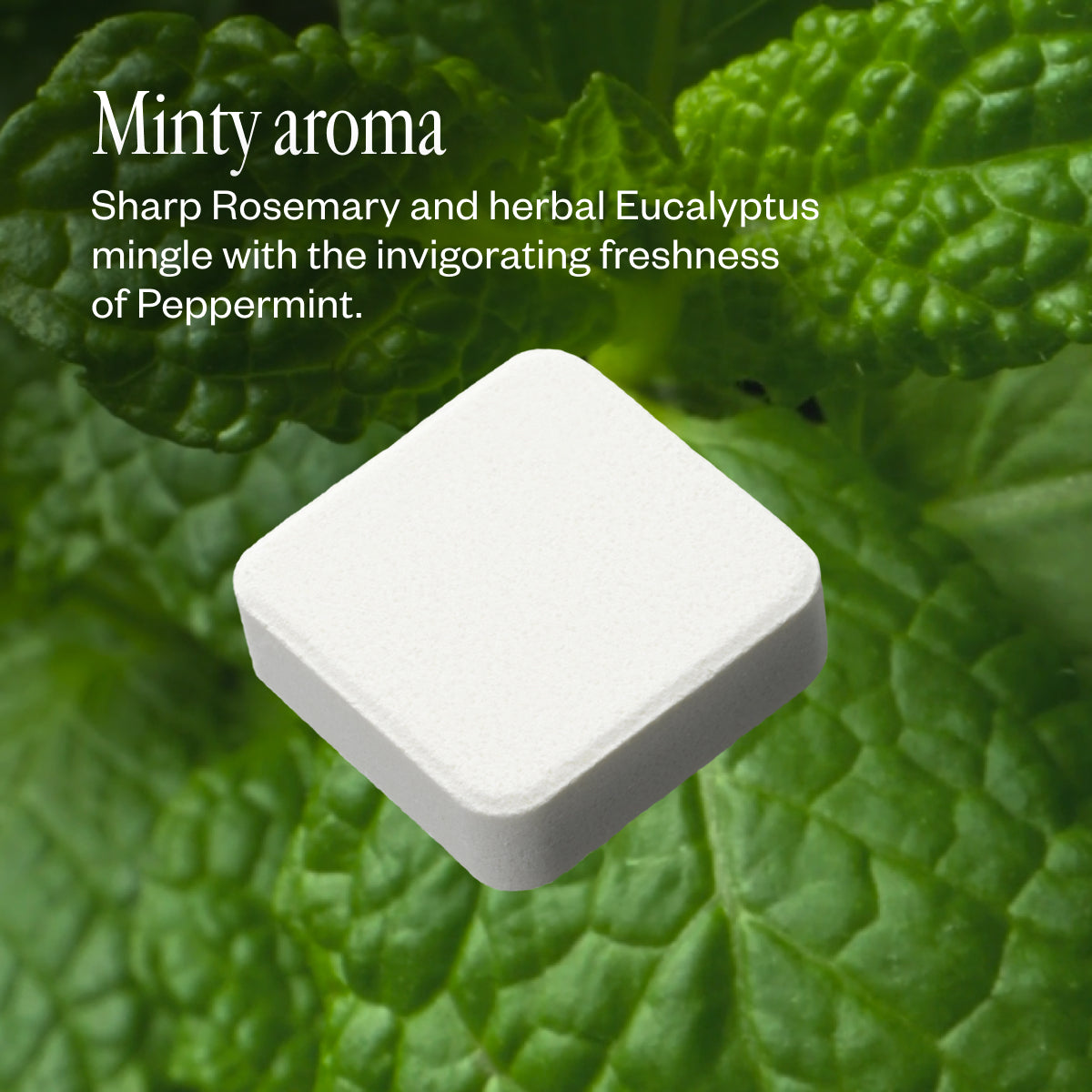 Refreshmint Trio 74