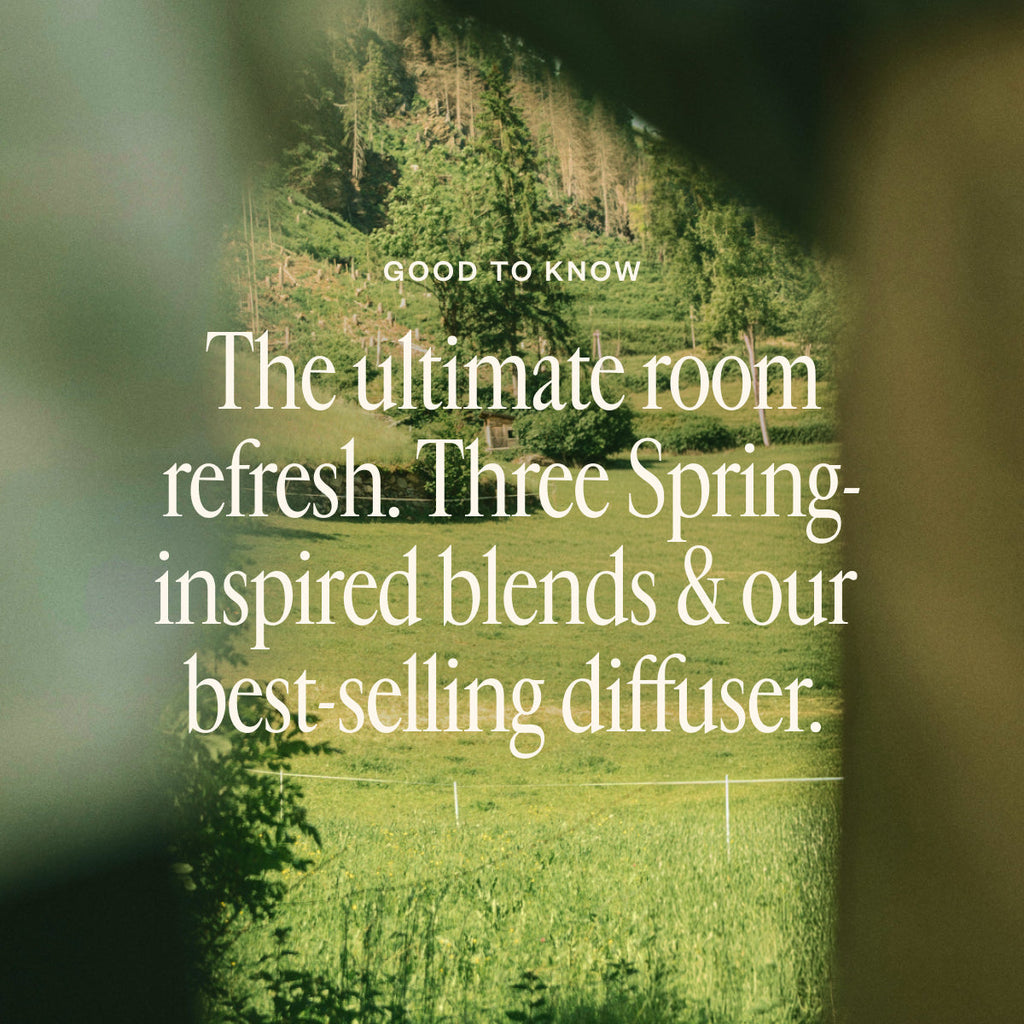 Spring Refresh Diffuser Bundle 00