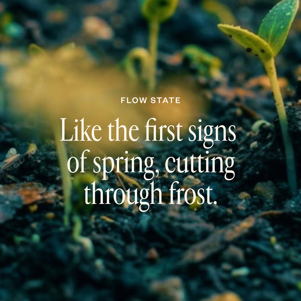 Spring Refresh Diffuser Bundle 00